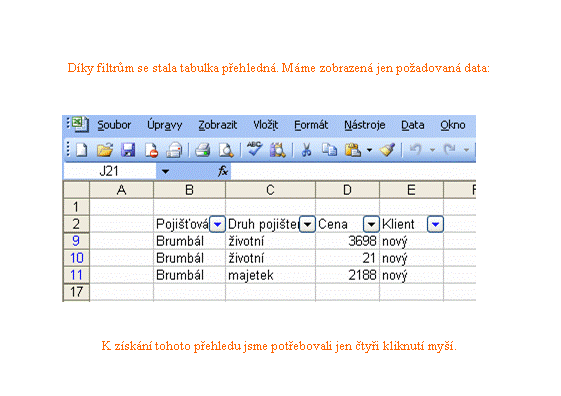 Filtrování dat Excel