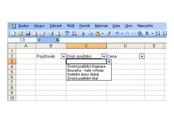 Excel ověření vkládaných dat